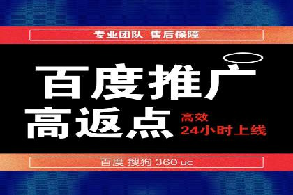 如何在有限预算下最大化百度推广费用的效果——案例解读